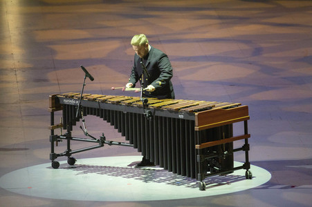 Musikfest der Bundeswehr in Düsseldorf