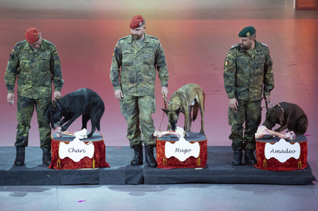 Musikfest der Bundeswehr in Düsseldorf