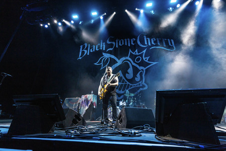 Konzert von Black Stone Cherry in Hamburg