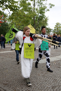 Extinction Rebellion Protestaktion in Berlin