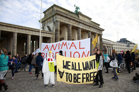 Extinction Rebellion Protestaktion in Berlin