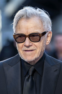 Closing Night Gala und Filmpremiere 'The Irishman', BFI London Film Festival 2019