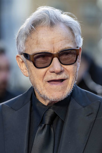 Closing Night Gala und Filmpremiere 'The Irishman', BFI London Film Festival 2019