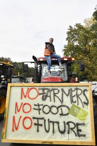 Protest gegen Agrarpolitik in Berlin