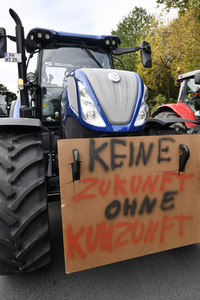 Protest gegen Agrarpolitik in Berlin