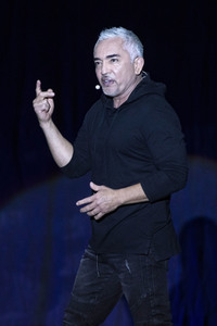 Auftritt von Cesar Millan in Erfurt