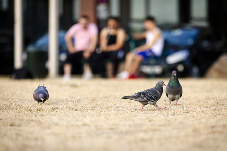 Symbolfoto Langeweile