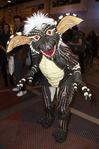 Weekend of Hell in Neuss