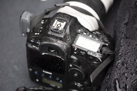 101. Jahrfeier des Waffenstillstands von 1918 in Paris