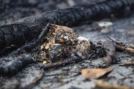 Kämpfe an der Chinesischen Universität Hongkong