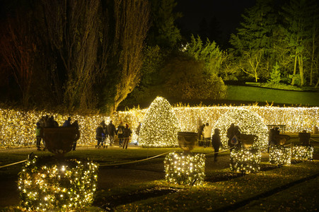 Eröffnung des Christmas Garden 2019 in Berlin