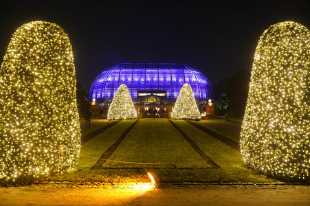 Eröffnung des Christmas Garden 2019 in Berlin