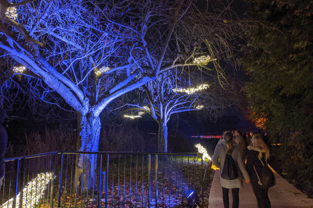 Eröffnung des Christmas Garden 2019 in Berlin