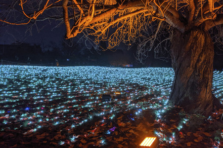 Eröffnung des Christmas Garden 2019 in Berlin