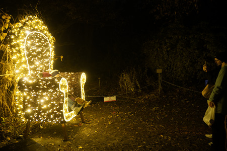 Eröffnung des Christmas Garden 2019 in Berlin