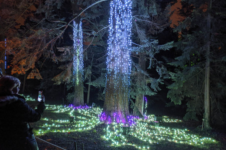 Eröffnung des Christmas Garden 2019 in Berlin