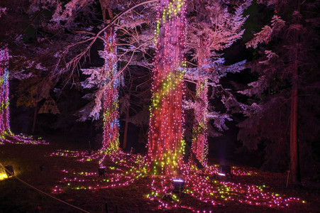 Eröffnung des Christmas Garden 2019 in Berlin