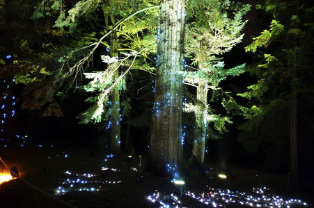 Eröffnung des Christmas Garden 2019 in Berlin