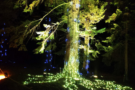 Eröffnung des Christmas Garden 2019 in Berlin