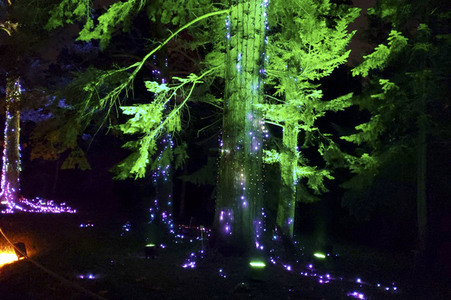 Eröffnung des Christmas Garden 2019 in Berlin