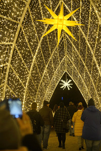 Eröffnung des Christmas Garden 2019 in Berlin
