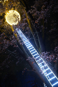 Eröffnung des Christmas Garden 2019 in Berlin