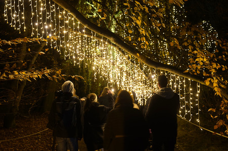 Eröffnung des Christmas Garden 2019 in Berlin