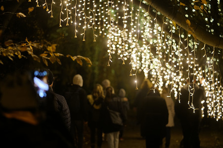 Eröffnung des Christmas Garden 2019 in Berlin