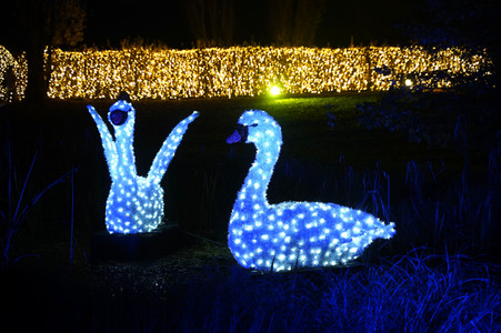 Eröffnung des Christmas Garden 2019 in Berlin