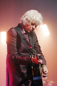 Konzert von Bob Geldof and The Bobkatz in Dresden