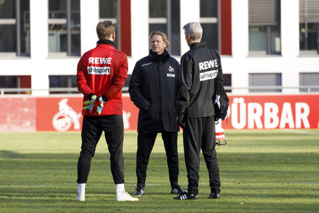 Training vom 1. FC Köln in Köln