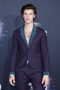 American Music Awards 2019 in Los Angeles