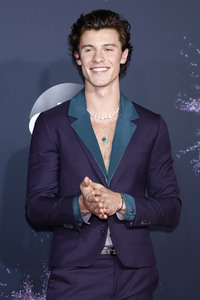 American Music Awards 2019 in Los Angeles