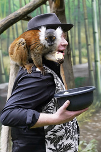 Fototermin mit Ben Becker in Berlin