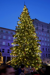 Symbolfoto Weihnachtsmarkt