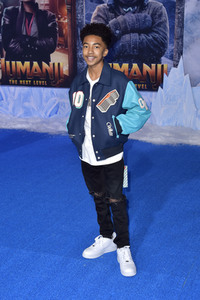 Filmpremiere 'Jumanji - The Next Level' in Los Angeles
