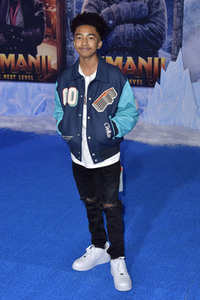 Filmpremiere 'Jumanji - The Next Level' in Los Angeles