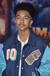 Filmpremiere 'Jumanji - The Next Level' in Los Angeles