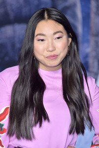 Filmpremiere 'Jumanji - The Next Level' in Los Angeles