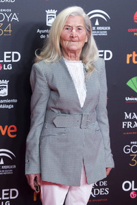 Nominiertenparty zur 34. Goya Filmpreis Verleihung in Madrid