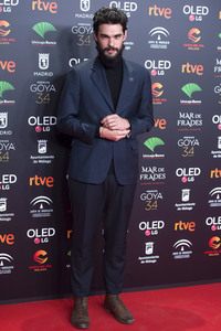 Nominiertenparty zur 34. Goya Filmpreis Verleihung in Madrid