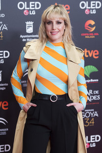 Nominiertenparty zur 34. Goya Filmpreis Verleihung in Madrid