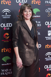 Nominiertenparty zur 34. Goya Filmpreis Verleihung in Madrid