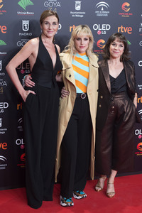 Nominiertenparty zur 34. Goya Filmpreis Verleihung in Madrid