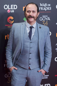 Nominiertenparty zur 34. Goya Filmpreis Verleihung in Madrid