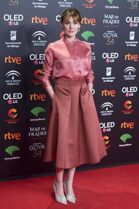 Nominiertenparty zur 34. Goya Filmpreis Verleihung in Madrid