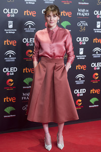 Nominiertenparty zur 34. Goya Filmpreis Verleihung in Madrid