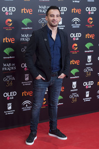 Nominiertenparty zur 34. Goya Filmpreis Verleihung in Madrid