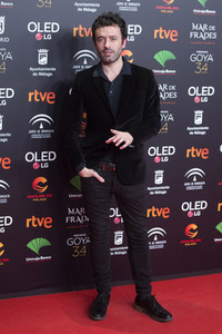Nominiertenparty zur 34. Goya Filmpreis Verleihung in Madrid