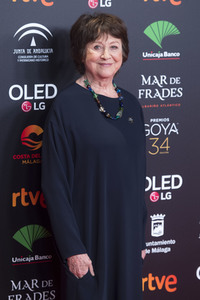 Nominiertenparty zur 34. Goya Filmpreis Verleihung in Madrid